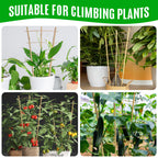 SWANGSA 6 Pack 3Ft Bamboo Trellis for Climbing Plants,35.5 Inch Fan-Shaped Bamboo Plant Trellis with 100pcs Twist Ties for Outdoor and Indoor Potted Plants Garden Stakes