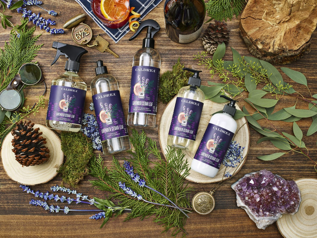 Caldrea Multi-surface Countertop Spray Cleaner, Made with Vegetable Protein Extract, Lavender Cedar Leaf, 16 oz, 3 Pack
