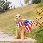 Cynkeyee Outdoor Garden Decor Dog Statue - Resin Dog with American Flag