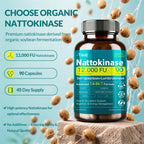 Nattokinase Supplement 12,000 FU (Max Strength) Serrapeptase 360,000 SPU, Lumbrokinase 10,000 FUV & CoQ10 -Systemic Enzymes Complex for Cardiovascular & Circulatory, Gut & Digestion Health-90 Capsules