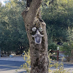 Aflowa Tree Faces Bird Feeder,Funny Old Man,Large