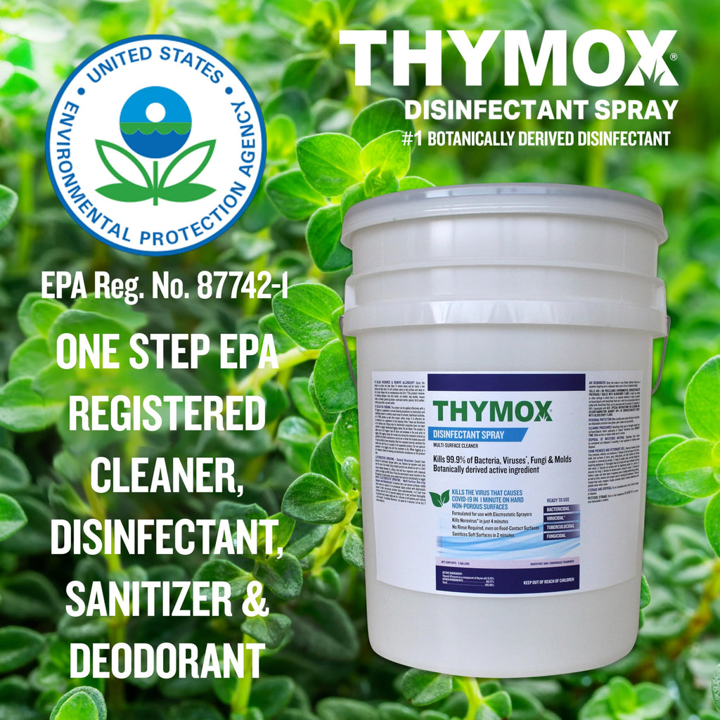 Thymox 5 Gallon Pail Botanical Disinfectant - All Natural Cleaner Mold Remover, Multipurpose Cleaner, Mold Killer - Ideal for Restoration Jobs and Water Damage, Pet Friendly Natural Disinfectant