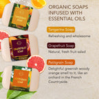 O NATURALS 100% Natural Bar Soap - Gift Set - Organic Ingredients & Essential Oils - Spa Gifts for Women & Men, Body Wash & Face - 6PC Citrus Soap Collection