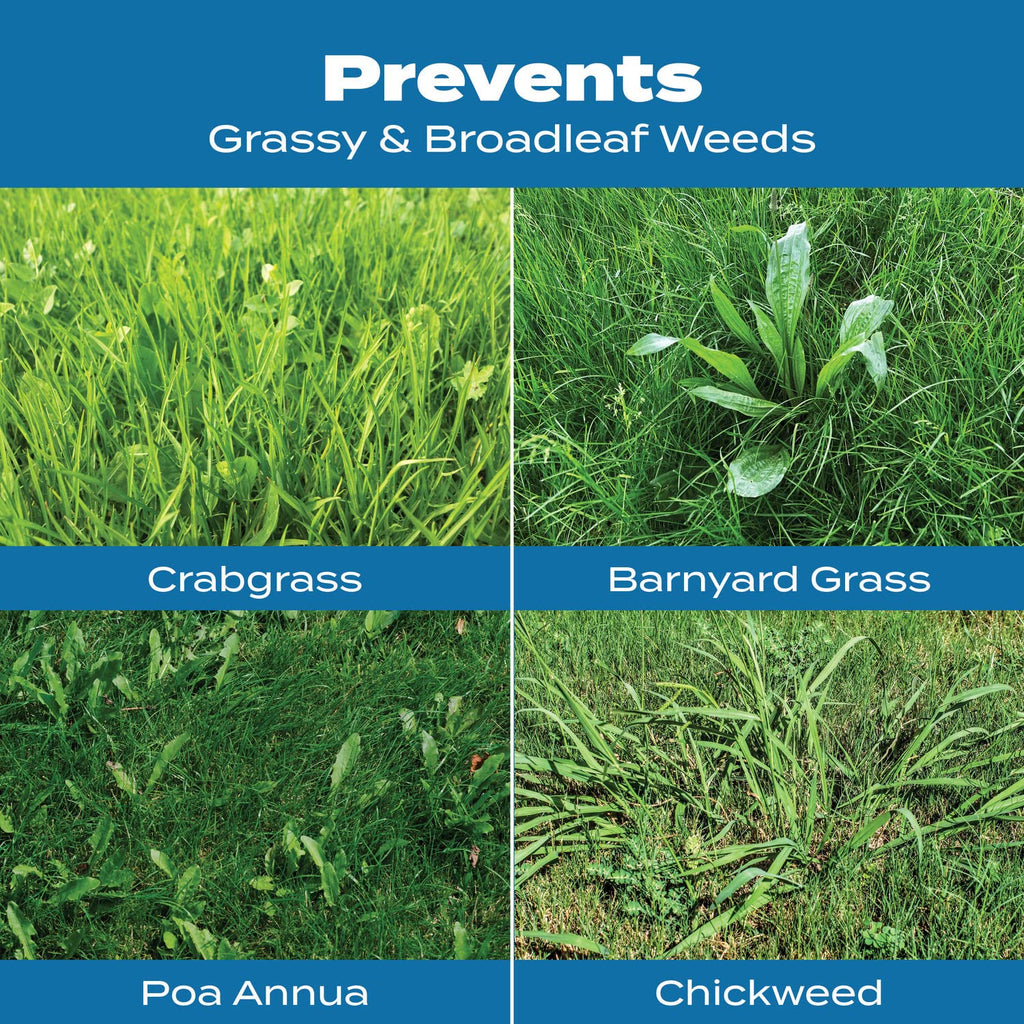 Scotts 31115, 000-Sq Ft Turf Builder Halts Crabgrass Preventer with Lawn Food, 15,000-S, M, B000OWC0KW