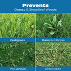 Scotts 31115, 000-Sq Ft Turf Builder Halts Crabgrass Preventer with Lawn Food, 15,000-S, M, B000OWC0KW