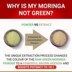 USDA Organic Moringa Capsules | Moringa Organic Pure Tablets | Vegan Premium Herbal Supplement from 10:1 Leaf Extract | Natural Plant-Based Support | 60 Capsules