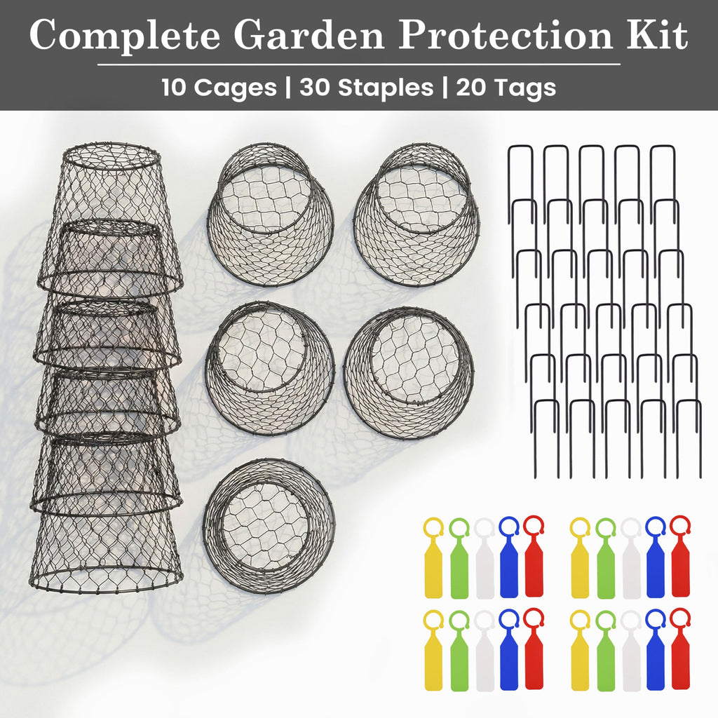 DHAMPOOH Garden Cloches for Plants, Outdoor Plant Protectors, 10 Pack, Dome