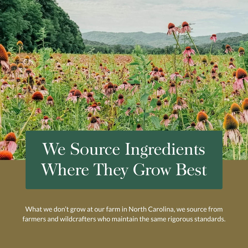 Gaia Herbs Ashwagandha Root - Stress Relief & Sleep Support Supplement - Supports Balanced Energy Levels & Positive Outlook* - 60 Vegan Liquid Phyto-Caps (30 Servings)