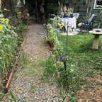 Garden Stakes 60 Pack, 16 Inch Each, DIY 3ft 4ft 5ft 6ft 7ft Sturdy Steel Plant Stakes with 50 Connectors, 30 Rotatable Clips, 10 A-Type Connecting Pipe and 164 Feet Twist Tie for Climbing Plants