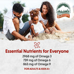 Barlean's Vegan Omega 3 6 9 Flaxseed Oil Liquid Supplement, Strawberry Banana Smoothie, Flax Seeds Oil with 2,968 mg ALA Fatty Acid, Non-GMO and Gluten Free, 16 oz