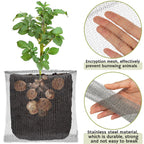 12 Pcs Gopher Baskets Plant Root Gopher Wire 1/3 / 5 Gallon Stainless Steel Gophers Moles Voles Mesh Baskets for Garden Tubers Plants Trees Flowers Bulbs Crops