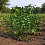 Garvee Outdoor Plant Support Trellis, 4 ft x 4 ft Metal A-Frame with Netting for Tomatoes Cucumbers Peas Beans Grapes, Climbing Vegetable Garden Trellis for Raised Beds, Green