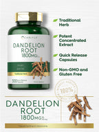 Carlyle Dandelion Root Extract | 300 Capsules | Herb Supplement | Taraxacum Officinale | Non-GMO and Gluten Free