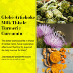 NEW NORDIC Active Liver 90-Day Supply, Daily Liver Supplement, Milk Thistle, Artichoke & Turmeric, 90 Tablets