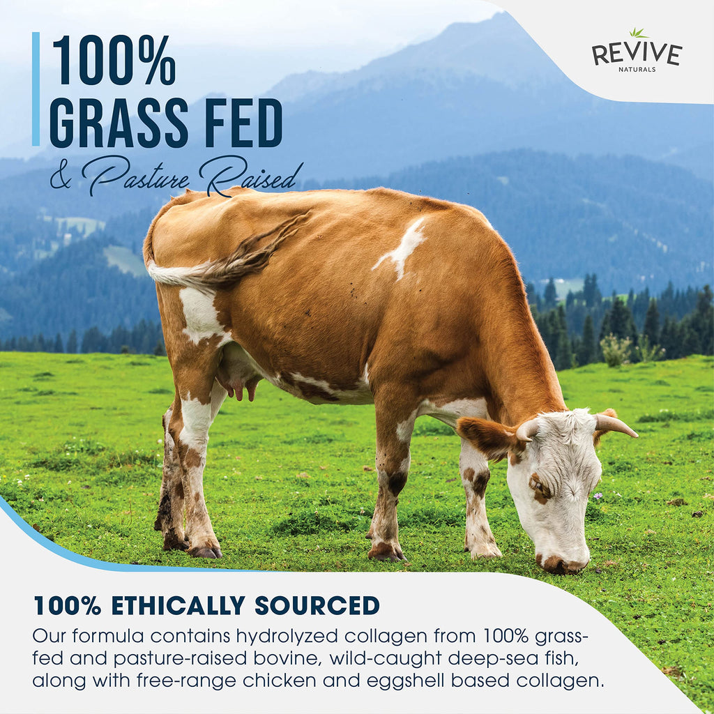 Revive Naturals Multi Collagen Hydrolyzed Protein Powder (16oz) - Types I, II, III, V & X - Grass Fed Bovine, Wild Caught Marine, Free Roaming Chicken & Eggshell Collagen Peptides,