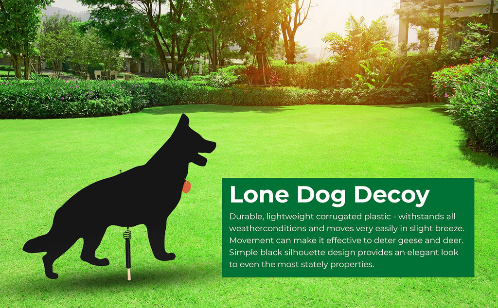 Watch Dog Goose Patrol Lone Dog Decoy – Corrugated Plastic Predator Deterrent for Geese, Deer, Seagulls, Rabbits | Humane Outdoor Pest Repellent | Visual Scare Device | Made in USA