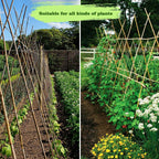 Jollybower 1/2" D 4.75 Feet Bamboo Stakes 50 Pack, Thicker Heavy-Duty Plant Stakes, Natural Garden Stakes for Bean, Tomato, Bean, Flowers,Trees Potted and Climbing Plant Support