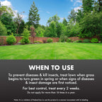 Spectracide Immunox Fungus Plus Insect Control For Lawns 32 Ounces, Dual Action, Hose-End Concentrate, Clear/Light Yellow