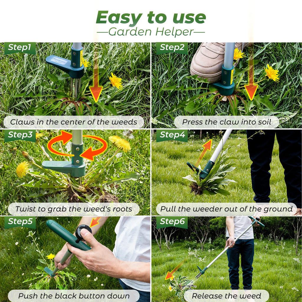 Walensee Weed Puller, Stand Up Weeder Hand Tool, Long Handle Garden Weeding Tool with 3 Claws, Hand Weed Hound Weed Puller for Dandelion, Standup Weed Root Pulling Tool and Picker, Grabber (1 Pack)