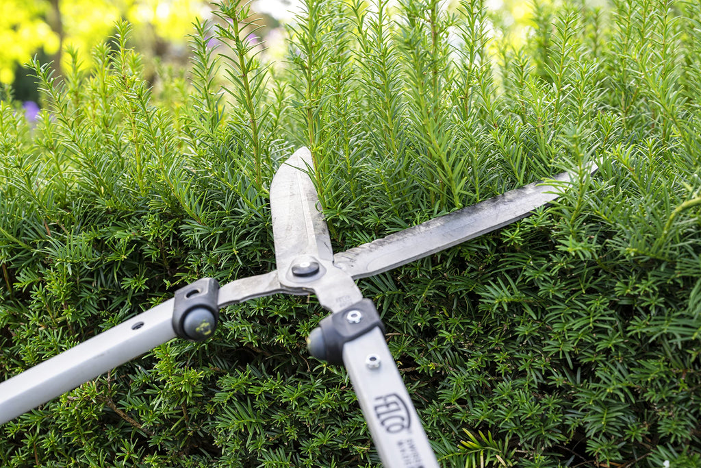 FELCO F250-57 Swiss Made Hedge Shears for Gardening – 22" Lightweight Precision Clippers for Shrub Trimming | Hedge Scissors | Trimmer Tool with Chromed Carbon Blades | I-Beam Handles