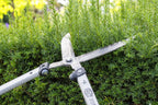 FELCO F250-57 Swiss Made Hedge Shears for Gardening – 22" Lightweight Precision Clippers for Shrub Trimming | Hedge Scissors | Trimmer Tool with Chromed Carbon Blades | I-Beam Handles