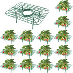 15Packs Strawberry Plant Support, Strawberry Plant Stand Holder Reusable Strawberry Plant Protector Greenhouse Strawberry Trellis Accessories Strawberry Planter for Strawberry Garden Plants