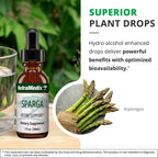 NutraMedix Sparga Tincture - Antioxidant-Rich Asparagus Extract for Cleansing and Detox Support - Mix Liquid Drops with Water for Body Detox Drink (1oz / 30ml)