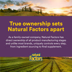 Natural Factors - Nattokinase 100mg, Supports Circulatory Health, 60 Vegetarian Capsules