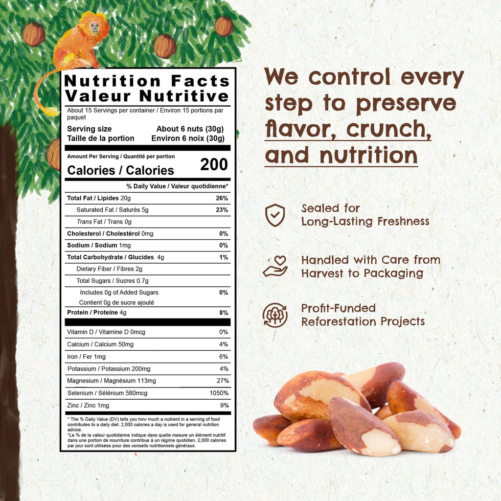 Forest Up The True Organic Brazil Nuts 15 oz Raw and Unsalted