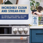 Aunt Fannie's Stainless Steel Spray Cleaner, Powered by Vinegar, Fingerprint and Residue Remover for Refrigerator, Dishwasher, Oven, Grill, Sink, Stovetop, and Other Appliances, Pack of 6