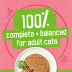 Purina Friskies Wet Cat Food Pate, Salmon Dinner, (24) 5.5 oz Cans