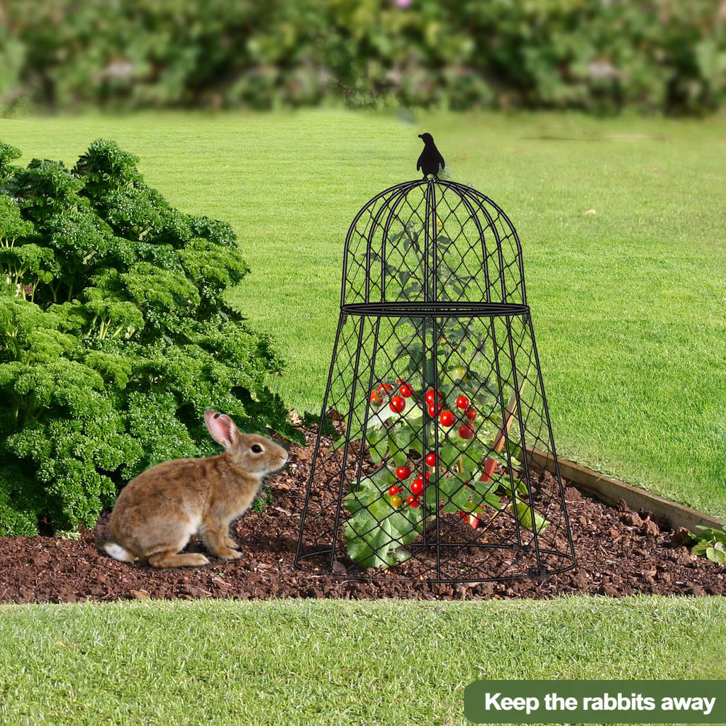 TAOMENNI Garden Cloches for Plants, Chicken Wire Cloche, Plant Cloche and Cages, Wire Plant Protectors from Animals, Protection for Your Plants and Seedlings, Heavy-Duty, 13" D x 20" H, Pack of 6