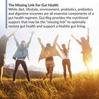 BioTrust Gut Reg Supports a Healthy Gut Lining, Helps Restore Gut Health and Helps Relieve Occasional GI Discomfort with PepZin GI, L-Glutamine and Ginger Extract, Non-GMO, Gluten-Free (60 Capsules)
