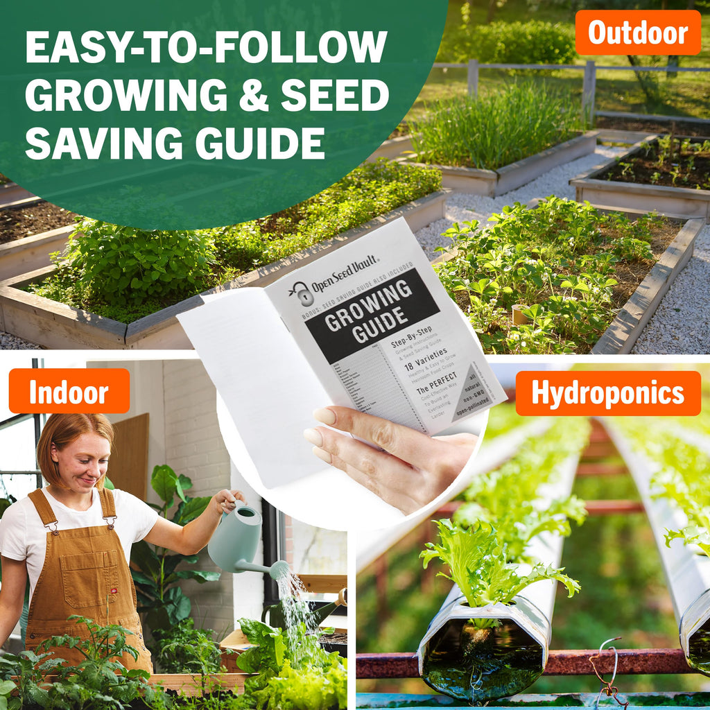 Vegetable & Fruit Seeds, 32 Packs, Non-GMO, 15,000+ Seeds