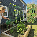 Miory Cucumber Trellis, 63" Tall U-Shape Trellis for Raised Bed, Garden Arch Trellis for Climbing Plants Outdoor, Plant Support for Vines, Steel with PE Coated (32" Lx32 Wx63 H)