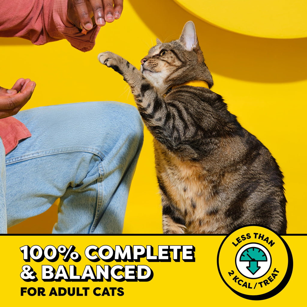 Temptations Classic Crunchy and Soft Cat Treats, Tasty Chicken, 48 oz