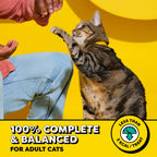Temptations Classic Crunchy and Soft Cat Treats, Tasty Chicken, 48 oz