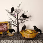 ATDAWN 6 Pack Halloween Black Feathered Crows, Realistic Halloween Birds Decoration for Spooky Décor