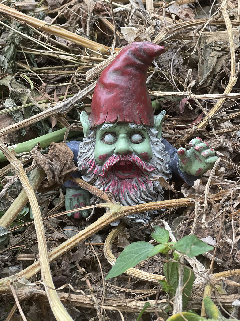FICITI G150028 Zombie Gnome Garden Statue Sculpture, Scary Gnome, Halloween Decoration