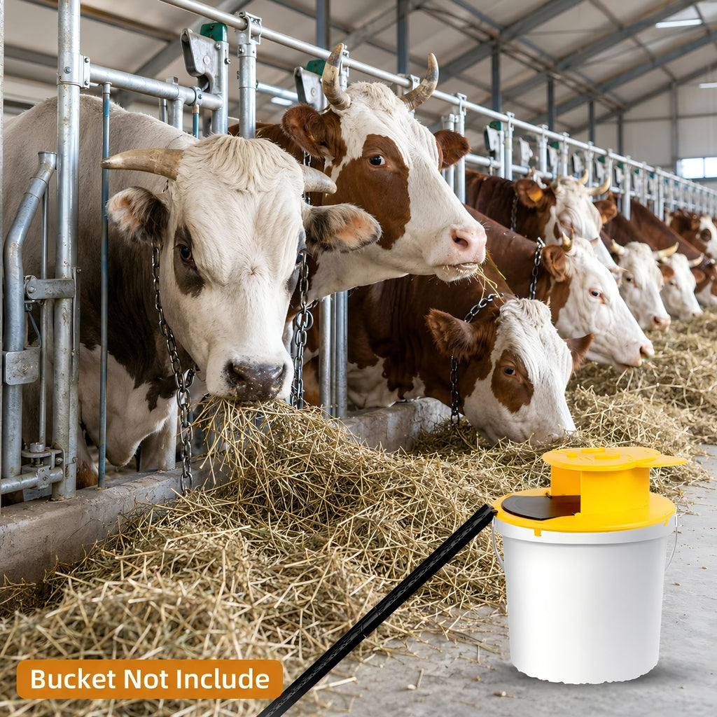 3pc Bucket Mouse Trap - Mouse Traps Indoor for Home - ABS Material