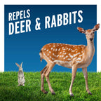 Liquid Fence Deer And Rabbit Repellent Concentrate 40 Ounces, Apply Year-Round