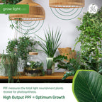 GE Grow LED Plant Light Bulb, Balanced Spectrum, A19, 2 Pack