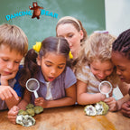 DANCING BEAR 25 Break Your Own Geodes, 90% Hollow, (Large 1.75-2.5") Crack Open & Discover Amazing Surprise Crystals Inside! Educational Info and Instructions Included, Fun Party Favors & Prizes