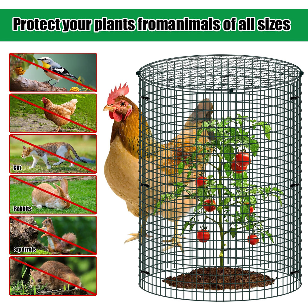10 Pack Wire Plant Protector with Cover, 16"x12"