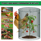 10 Pack Wire Plant Protector with Cover, 16"x12"