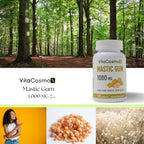VitaCosmoX Mastic Gum Capsules, 1000 mg, 120 Capsules Vegetarian, Non-GMO and Gluten-Free - 2 Packs