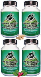 Natural Home Cures Freeze-Dried Nopal Cactus Capsules, Whole Prickly Pear Cactus Powder, Plant-Based Fiber Supplement for Daily Wellness, 500 mg, 120 Vegan Capsules (4 Bottles)