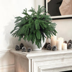 Rowfad 12 Pcs Artificial Norfolk Pine Branches Faux Christmas Stems (12)