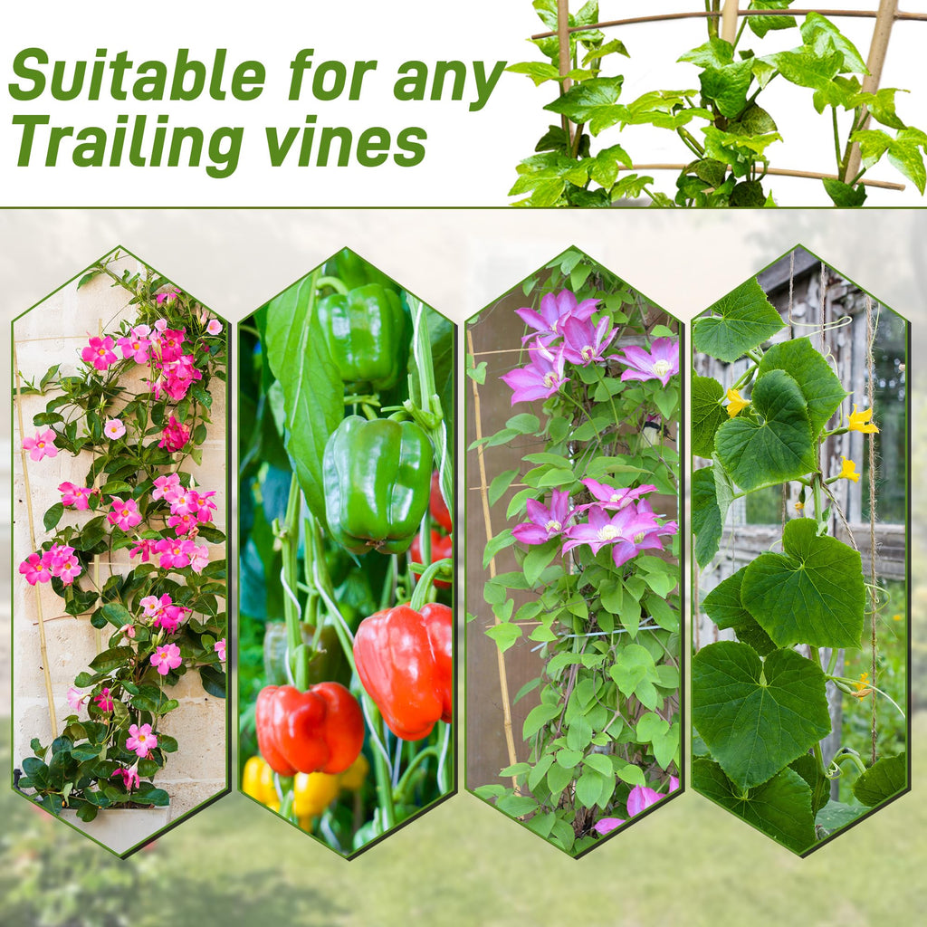 Avalution 10 Pack Bamboo Trellis for Climbing Plants, 4 FT Garden Ladder Trellis for Potted Plants Indoor, Fan-Shaped Small Plant Support Trellis for Houseplants Ivy Hoya Vine Monstera