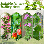 Avalution 10 Pack Bamboo Trellis for Climbing Plants, 4 FT Garden Ladder Trellis for Potted Plants Indoor, Fan-Shaped Small Plant Support Trellis for Houseplants Ivy Hoya Vine Monstera